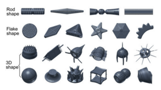Shape classification of diatom frustules. The images are 3D models. The actual sizes of the frustules are about 10–80 μm.[40]