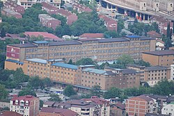 The Imperial Tobacco plant