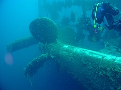 Divers on the wreck of the Zenobia