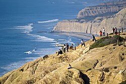 Torrey Pines State Natural Reserve