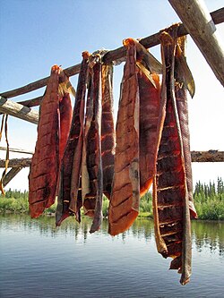 Drying salmon filets