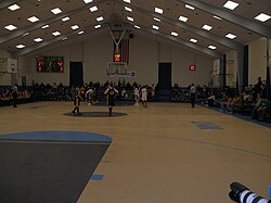Old Westbury campus Recreation Hall during an NYIT Bears women's basketball game