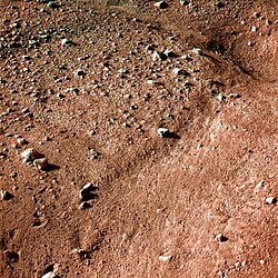 Polar surface as seen by the Phoenix lander