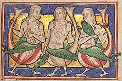 Sirens. One on the left holds a comb. Worksop Bestiary. Morgan Library M.81[73]