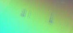 A picture showing scratches on the readable surface of a CD-R. Music and data CDs are coded using error correcting codes and thus can still be read even if they have minor scratches using error detection and correction.