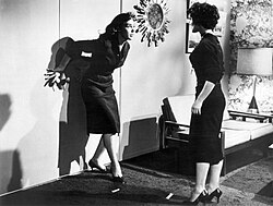 Barboura Morris and Susan Cabot in a scene from The Wasp Woman (1959)