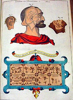 The ears of a human, cow, horse, dog, leopard, cat, rat, pig, sheep and goose illustrated in Musurgia Universalis.