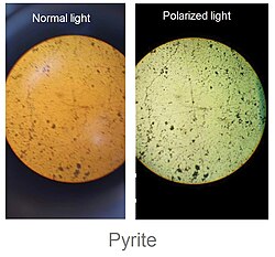 Pyrite under normal and polarized light