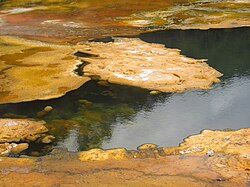 Algal mats growing in the Map of Africa hot pool, Orakei Korako, New Zealand
