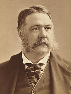 Vice President Chester A. Arthur assumed the presidency after Garfield's death.