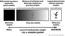 Mathematical models for complex systems
