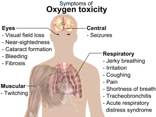 A diagram showing a male torso and listing symptoms of oxygen toxicity: Eyes – visual field loss, nearsightedness, cataract formation, bleeding, fibrosis; Head – seizures; Muscles – twitching; Respiratory system – jerky breathing, irritation, coughing, pain, shortness of breath, tracheobronchitis, acute respiratory distress syndrome.