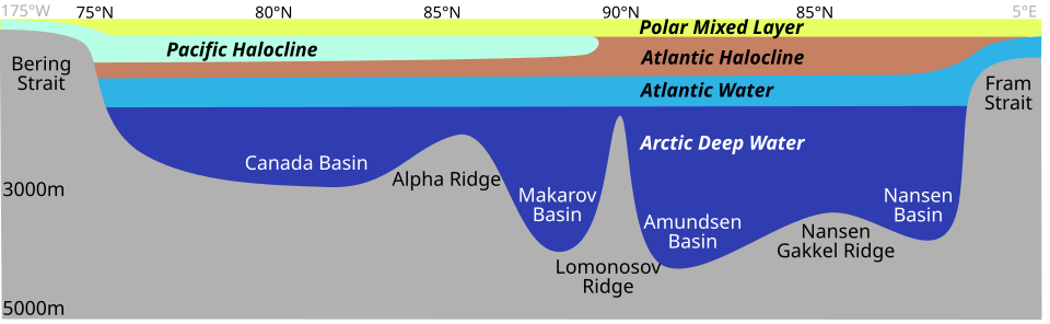 Distribution of the major water mass in the Arctic Ocean. The section sketches the different water masses along a vertical section from Bering Strait over the geographic North Pole to Fram Strait. As the stratification is stable, deeper water masses are denser than the layers above.
