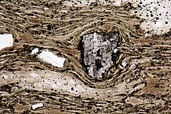 Thin section of ignimbrite of pantelleritic composition from Pantelleria, Italy
