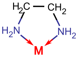 Ethylenediamine binds to a metal by formation of a C2N2M chelate ring.
