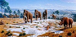 Megafauna of Pleistocene Europe (mammoths, cave lions, woolly rhinoceros, reindeer, horses)