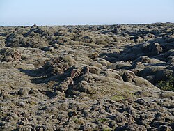 Eldhraun, a lava field produced by the Laki craters