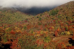 Graveyard Fields in the fall