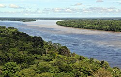 Aerial view of the Amazon rainforest, near Manaus