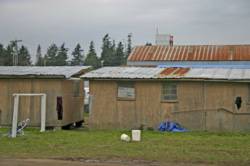 Labor camp on Tanaka brothers farm. Washington State, Skagit Valley circa 2003-2004
