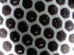 Match striking surface made of a mixture of red phosphorus, glue and ground glass. The glass powder is used to increase the friction.