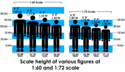 Scale height of figures in 1:60 and 1:72 scale