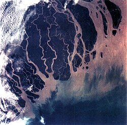The Ganges river delta in India and Bangladesh is one of the most fertile regions in the world.