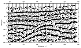 Seismic reflection data