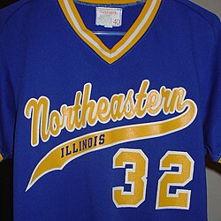 NEIU baseball jersey