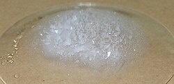 Solid compound of naphthalene sublimed to form a crystal-like structure on the cool surface
