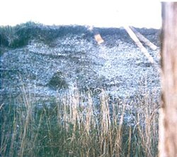 Four meter deep midden on the coast of Nercón, Fjord of Castro.