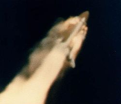 There was no practical way for the Space Shuttle Challenger's crew to safely abort before the vehicle's violent disintegration