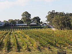 Riverbank Estate Winery, Caversham in the Swan Valley