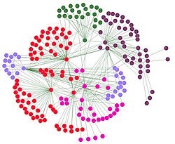 Social network diagram, meso-level