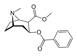 Cocaine, the psychoactive constituent of coca