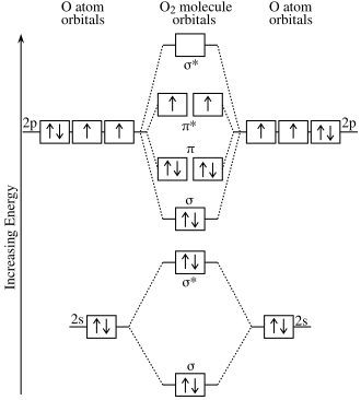 Orbital diagram, after Barrett (2002),[35] showing the participating atomic orbitals from each oxygen atom, the molecular orbitals that result from their overlap, and the aufbau filling of the orbitals with the 12 electrons, 6 from each O atom, beginning from the lowest-energy orbitals, and resulting in covalent double-bond character from filled orbitals (and cancellation of the contributions of the pairs of σ and σ* and π and π* orbital pairs).