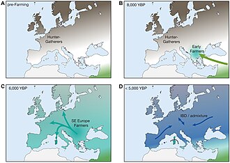 Simplified model for the demographic history of Europeans during the Neolithic period and the introduction of agriculture[6]