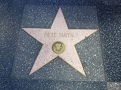 Smith's star on the Hollywood Walk of Fame