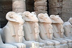 Ram statues line the entrance to Amun's Temple