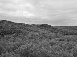 View from Buzzard Roost Rock, Edge of Appalachia Preserve, Adams County, Ohio.