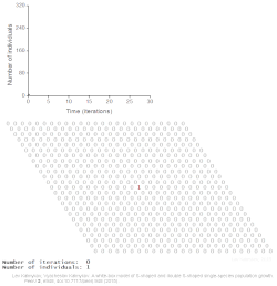 Logical deterministic individual-based cellular automata model of single species population growth