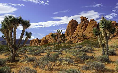 The designation of Gold Butte National Monument in 2016 established a wildlife corridor linking Lake Mead National Recreation Area and Grand Canyon-Parashant National Monument.