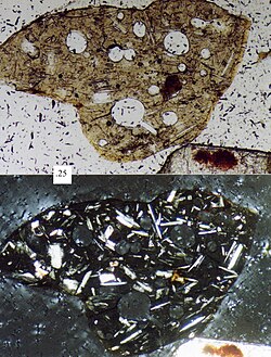 A thin section of a volcanic sand grain seen under the microscope, with plane-polarized light in the upper picture, and cross-polarized light in the lower picture. Scale box is 0.25 mm.