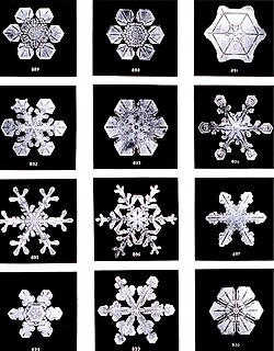 Snowflakes are a very well-known example, where subtle differences in crystal growth conditions result in different geometries.