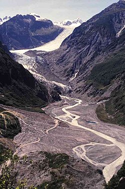 Fox Glacier in New Zealand finishes near a rainforest