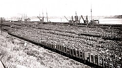 Extensive coal docks seen in Toledo, Ohio, 1895