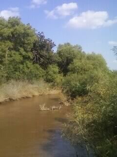 Washita River; vicinity where Chief Black Kettle was killed while trying to cross river