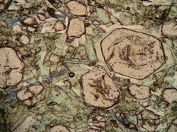 Photomicrograph of a thin section of eclogite from Turkey. Green omphacite (+ late chlorite) + pink garnet + blue glaucophane + colorless phengite.