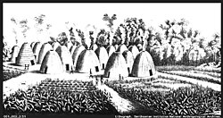 A sketch of an early 19th-century Wichita Indian village. The beehive-shaped grass lodges surrounded by corn fields appear similar to those described by Coronado in 1541.