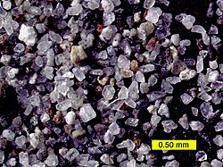 Light microscope image of ash from the 1980 eruption of Mount St. Helens, Washington